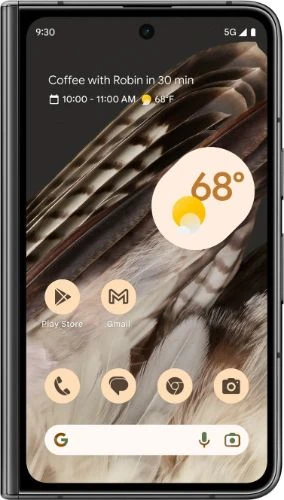Google Pixel Fold (5G)